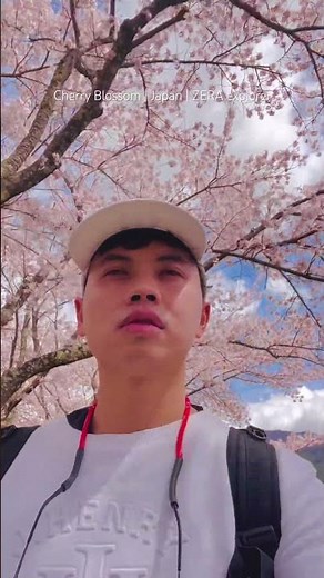 Cherry Blossom Reflections at Lake Kawaguchi | Mt. Fuji, Japan富士山下的湖畔櫻花 | 河口湖，日本富士山と河口湖の桜 | 心が静まる瞬間