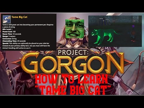 Project Gorgon | How to learn Tame Big Cat Ability with Animal Handling Level 20