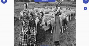 Download and run Colorize Images on PC & Mac (Emulator)