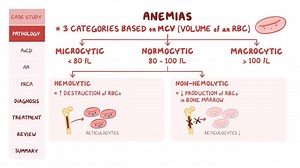 Video: Non-hemolytic normocytic anemia: Pathology review - Video Explanation! | Osmosis