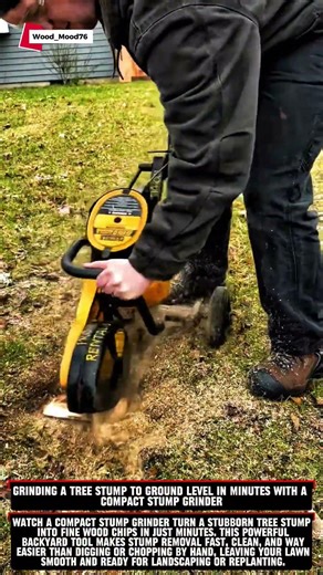 Grinding a Tree Stump to Ground Level in Minutes with a Compact Stump Grinder #woodworking #wood