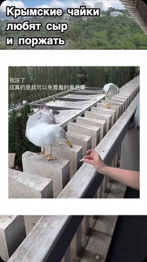 Jil Wu | 真直接大笑欸😆太可愛了吧 @你大笑我就是感情好？🤣 生活裡 有你就每天都有你才能快樂 #美好的一天 #325 混搭自 @stas.more | Instagram