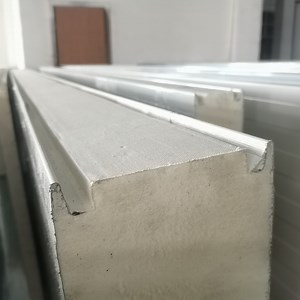 [Hot Item] Cold Room Panel/Cold Storage Rooms Panel