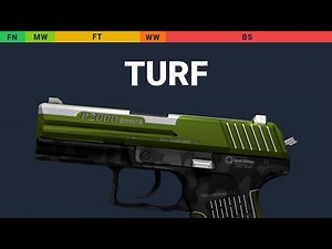 P2000 Turf - Skin Float And Wear Preview