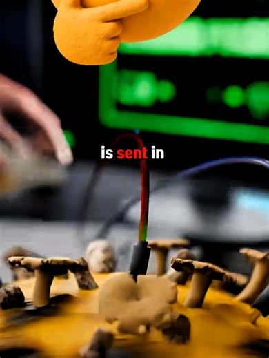 Mushrooms That Work Like Computer Chips