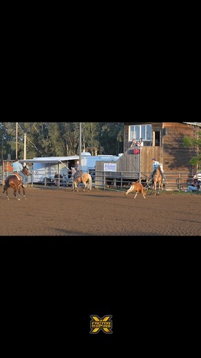 48K views · 1.2K reactions | Tyler Tryan and Logan Moore at the Pacific Coast Shootout. | X Factor Roping | Facebook