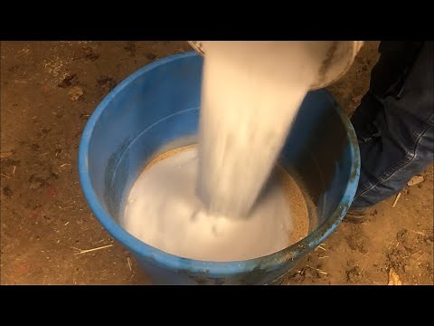 Making my Own Protein Supplement, Will this Even Work