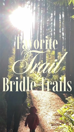 Exploring Bridle Trails in Redmond, Washington
