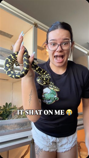 CQ Tropical Reptiles | Brooke & Keenan on Instagram: "Fun fact: snakes will often poop or pee when handled due to nerves, movement, or stimulation of digestion. It’s a totally normal response, especially with younger or more active snakes. Less fun fact: sometimes that response happens on you 💀 Reptile keeping isn’t glamorous, but moments like this come with the territory… and honestly? I still wouldn’t choose anything else. Alfie is such a beautiful boy and we’re woking on calmer handling 🫶🏽