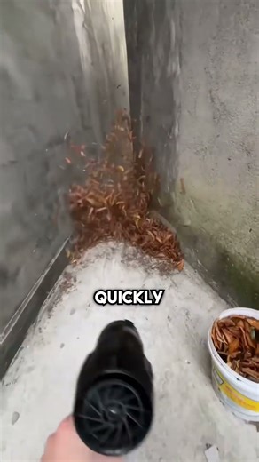 She Turned On the Leaf Blower… and Everything Went Wild! 😨