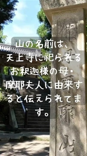 摩耶山ってどんな山？