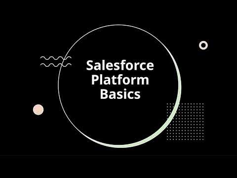Salesforce Platform Basics | Learn Salesforce CRM Step-by-Step