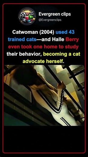 Halle Berry Worked With 43 Cats for Catwoman #movie