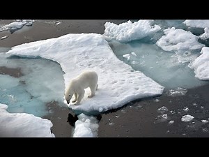 Klimawandel: Meereis in der Arktis ist auf geringsten Stand seit acht Jahren
