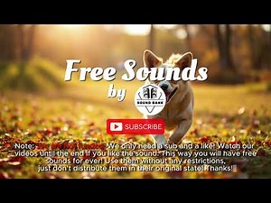 Dog Running About and Barking Sound Effect – Free Non-Copyright SFX for YouTube & Gaming 🎮🐕