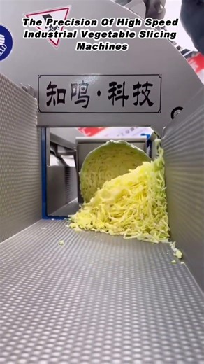 The Precision Of High Speed Industrial Vegetable Slicing Machines