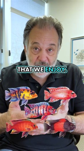 2.8K views · 38 reactions | This Aquarium Fish Is Endangered Did you...