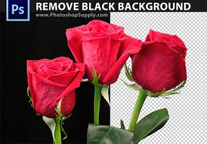 (FREE) Remove Black Background Photoshop - Photoshop Supply