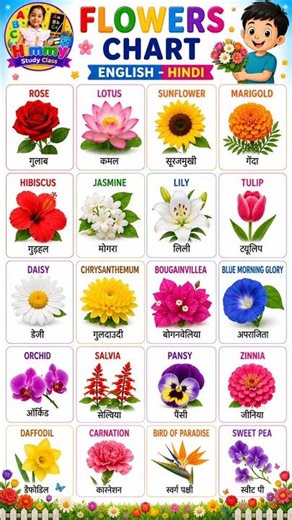 Flower Names for Kids | Learn Flowers Name in English | Beautiful Flowers | Kids Learning Video