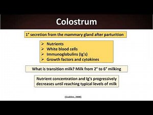 Dairy Cattle Colostrogenesis and Colostrum Composition