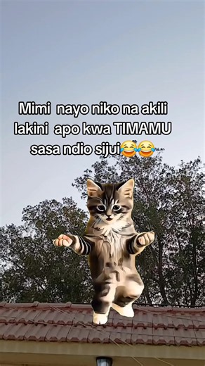 #CapCut #fypシ゚viral🖤tiktok #creatorsearchinsights
