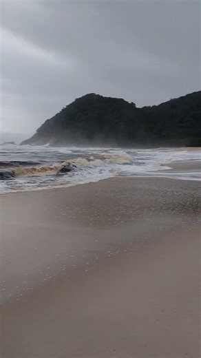 Praia da Juréia, são Sebastião, litoral Norte -sp.