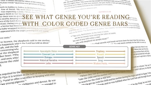 Watch NIV Timeline Bible  on Amazon Live