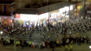 5.9K views · 221 reactions | This ain't 'tit Rex y'all. This video right here is a tilt-shift timelapse of the Krewe of Nyx and Krewe of Druids parades on Canal Street in New Orleans. Happy Mardi Gras! | New Orleans Mardi Gras | Facebook