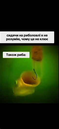 #fishing #рибалка #jigfishing #джиг #судак #судакнаспиннинг #окунь #джиговаяловля #рыбалкаслодки