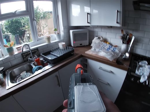 Salt Gun Fun: Shooting Flies with Precision