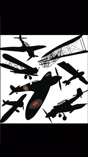 Two Brothers Proved Everyone Wrong About Flight #history #flight #genius