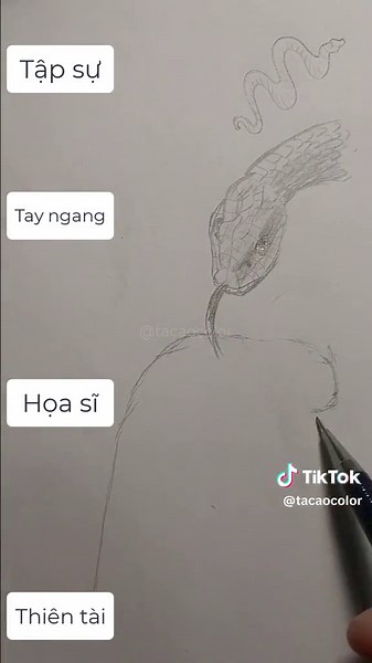 Hướng Dẫn Vẽ Con Rắn Đầy Đủ Chân Thực