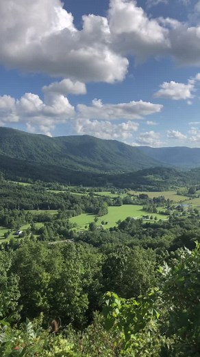 Exploring Nature's Beauty in Lush Green Valleys