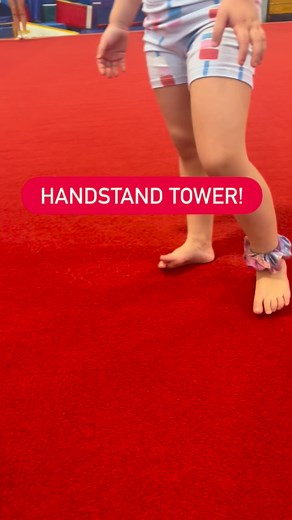 [Hands][Shoulders][Hips][Feet]! #gymnasticscoach #gymnastics #gymnast #usag #usagymnastics #handstand #cartwheel #acro #backhandspring #preteam #preschoolgymnastics #fyp | Wendy Rodenberg