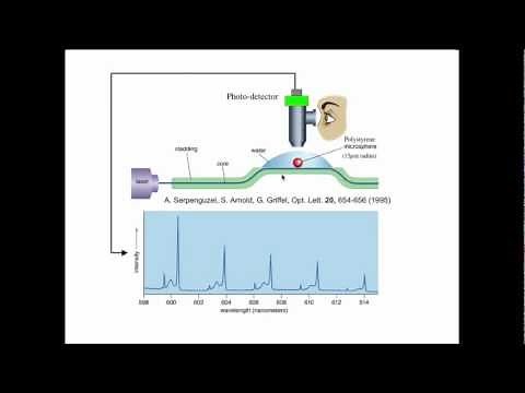 1. Whispering Gallery Mode Biosensor Early History (1994-2002)