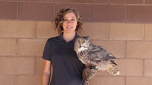 5.5K views · 265 reactions | Meet Olivia, a Great Horned Owl and an...