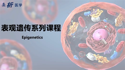 表观遗传（基础版）—4 microRNA调控机制