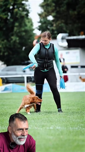 Disc Dog Training Techniques for Your Dog