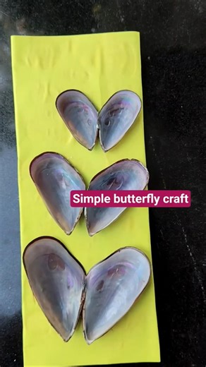 Simple butterfly shell craft #youtubeshorts #shortsfeed