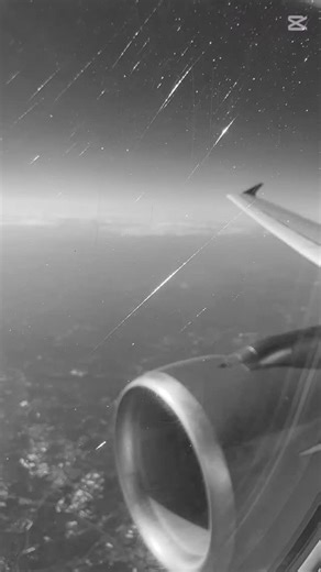 3 Days of Learning in Orlando｜Foot Care Seminar Highlights オーランドでの3日間のセミナーをリールにまとめました #学びの旅2025 #フットケア #フットケアスペシャリスト #footcare #advancedfootcare #podiatry #seminar #orlando #cmp #certifiedmasterpedicurist #continuingeducation #professionaldevelopment | Yuko Sakurai