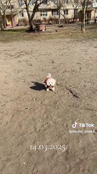 Videos de Bonito_Bonka (@bonito_bonka) con “Miscelanea D’Amore n° 11 (2000 DANCE POP ITALIAN 110 bpm) - MUSICSTORY BOLOMA”