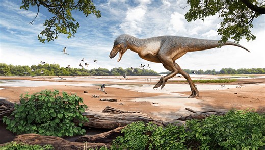 Rare “Teen” T. Rex Fossil Discovered By Three Kids Hiking In North Dakota