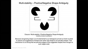 06. Positive/Negative Shape / Multi-stability (9 minutes)