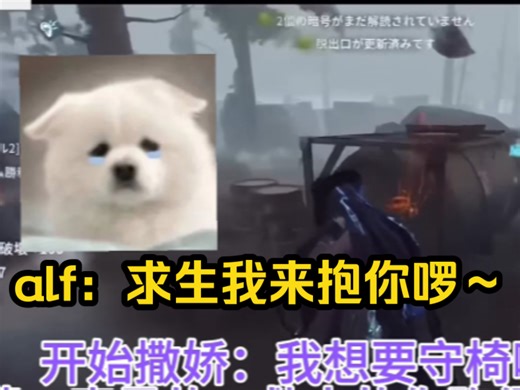 alf的小抽奖家四杀：撒娇可让对面求生拉勾投怀送抱哦～【深渊考古切片】