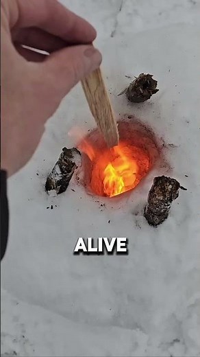 Fire inside snow sounds impossible… but humans used this ancient survival trick for centuries. ❄️🔥