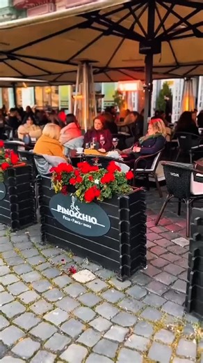 😏 Cine a zis că weekendul ține doar două zile? #lapinocchio, fiecare zi e o sărbătoare în sine — un pahar bun de vin, o pizza burrata gătită cu suflet și un desert care te face să uiți că e luni. 🍷🥞 Atmosfera de weekend? O avem în fiecare zi. Te așteptăm #lapinocchio: 📍 Piața Unirii nr. 2 📞 Rezervări: 0721 153 855 / 0799 069 206 🌐 Comandă online: clatite-pinochio.ro — și venim noi la tine 🚗💨 ________________________________________ #pinocchio #lapinocchio #clatitepizzapaste #clatitepinoc