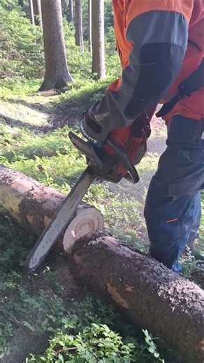 THE LUMBERJACK IS CUTTING WOOD vs CHAINSAW HUSQVARNA 560XP 💯🇸🇪🇨🇿