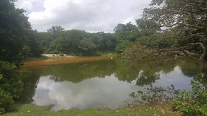 The Phnom Tamao Wildlife Rescue Center: Everything You Need To Know!