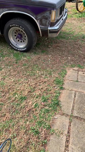 Dragonassracing on TikTok