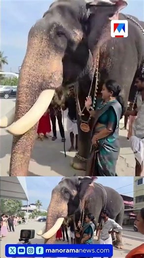 പെറ്റ് ഷോയില്‍ ആനയെ എത്തിച്ച് വിദ്യാർഥികൾ; താരമായി കാളിയാര്‍മഠം ശേഖരൻ